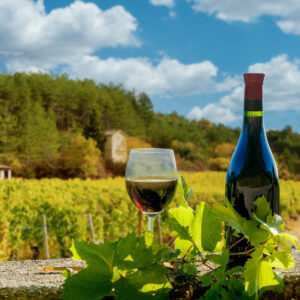 Tra Natura e Cultura